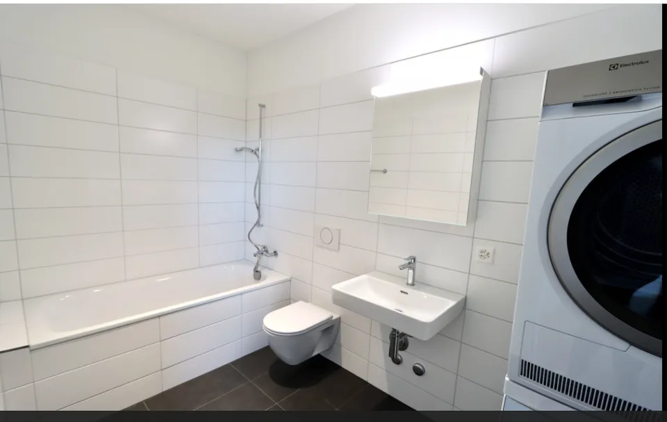 3.5-Room Apartment - Tenant Wanted from Early October