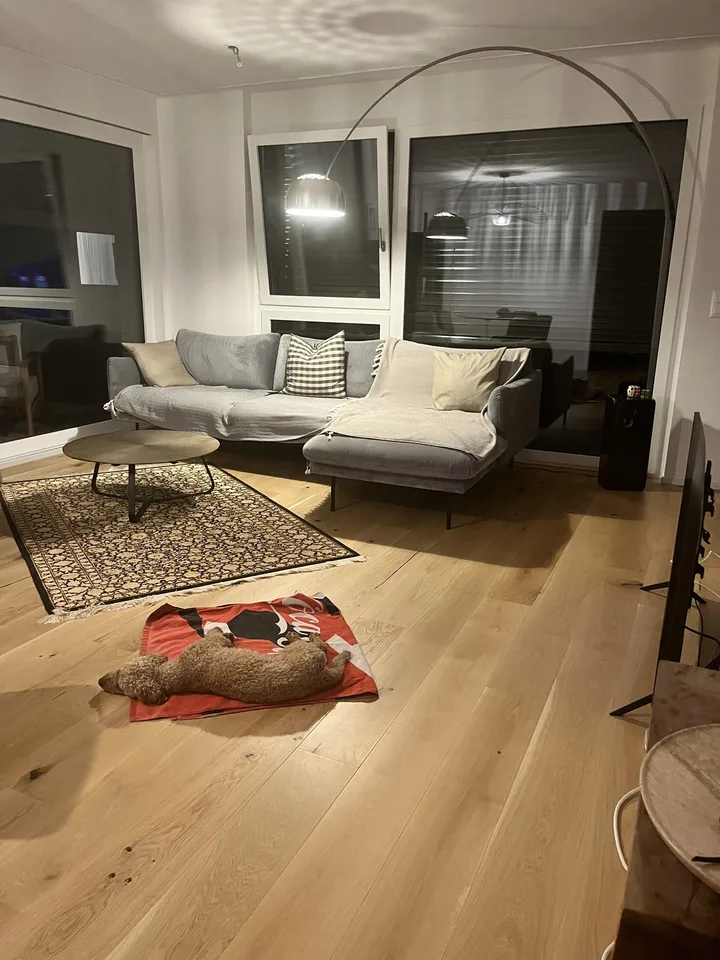 3 1/2 room partially furnished at Lake Zurich