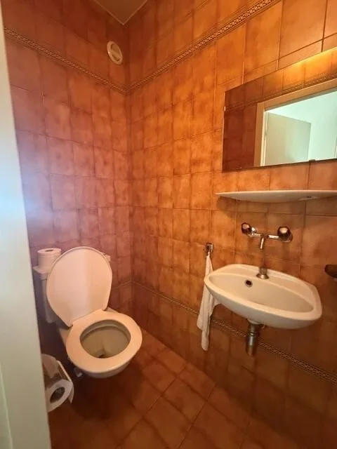 Charmantes Apartment in Nyon