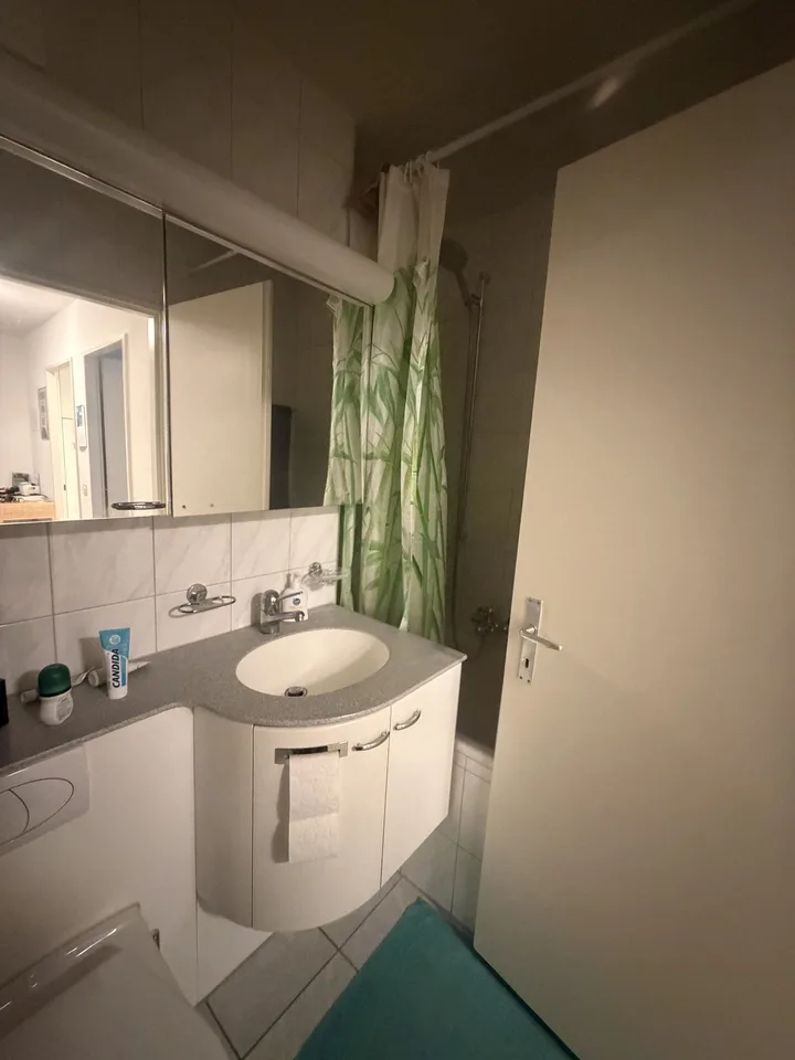 Great apartment with large balcony and beautiful view