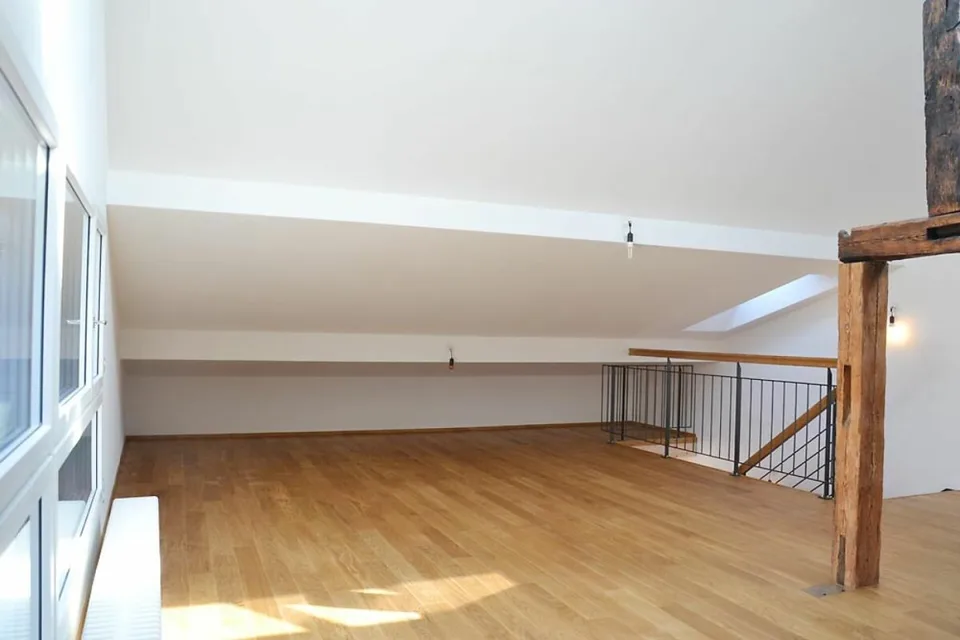 3-Generation House, 7 rooms + 2 rooms + garden. Noble, modern, chic restoration, very bright, all bio - or: 7-room apartment and 2-room office / au-pair apartment