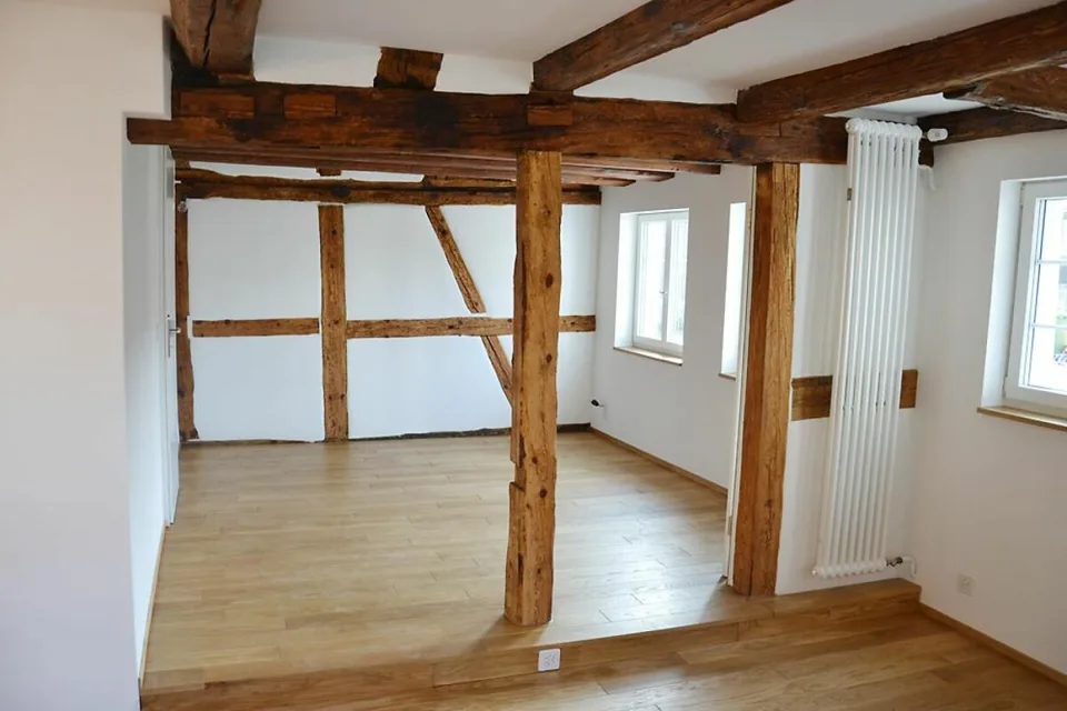 3-Generation House, 7 rooms + 2 rooms + garden. Noble, modern, chic restoration, very bright, all bio - or: 7-room apartment and 2-room office / au-pair apartment