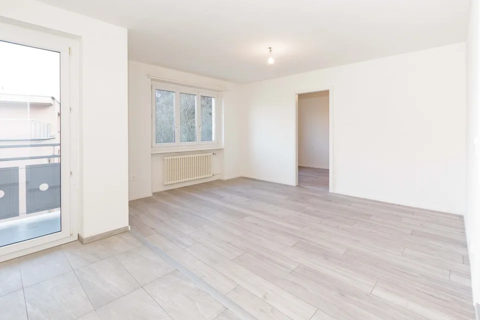 Dream Apartment