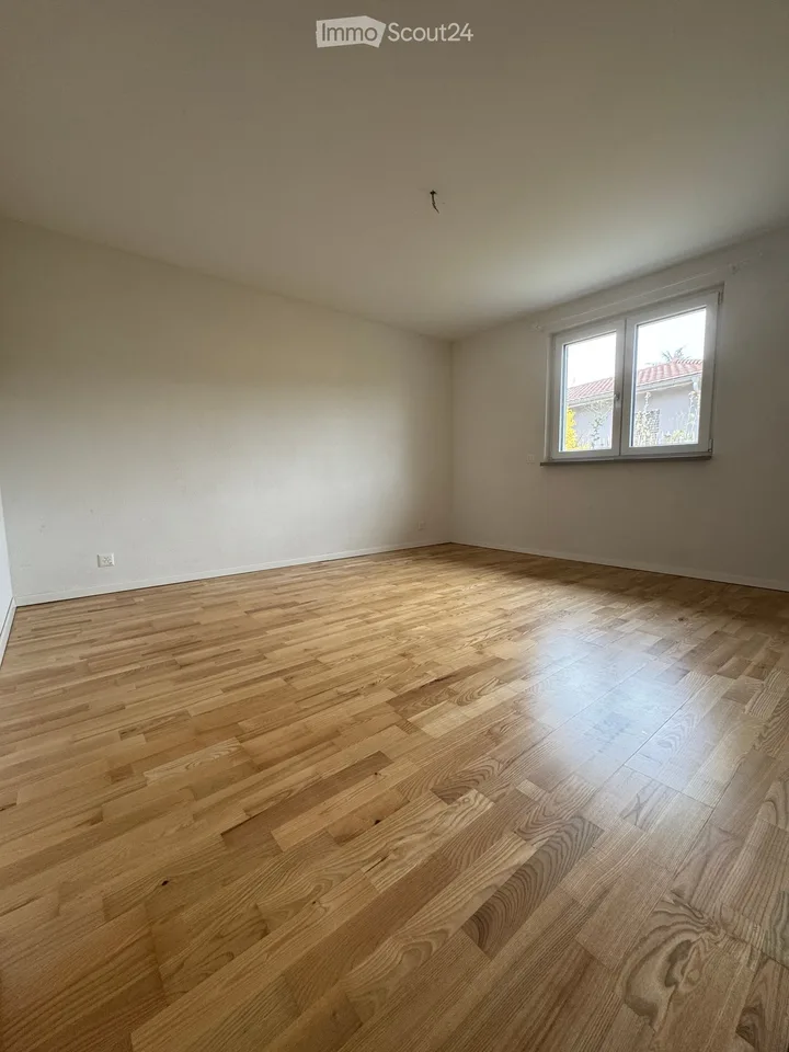 Beautiful individual house in Dompierre