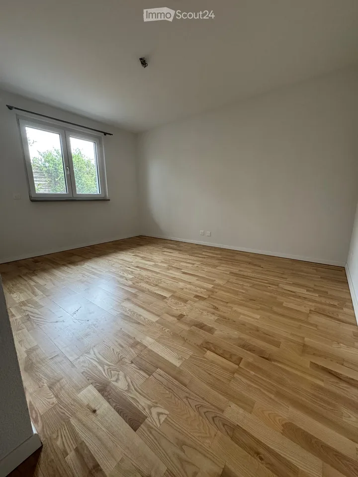 Beautiful individual house in Dompierre