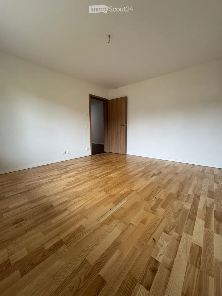 Beautiful individual house in Dompierre