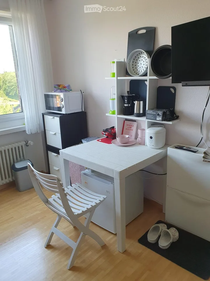 Möbliertes 1-Zimmer-Apartment im 10. Stock mit schöner Aussicht in Rheinfelden