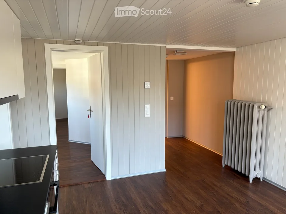 Newly renovated 2-room apartment for rent