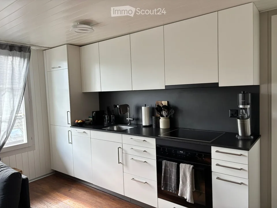 Newly renovated 2-room apartment for rent