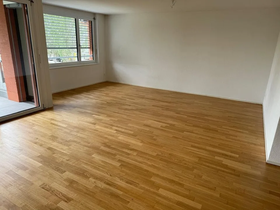 Modern apartment near Lake Constance