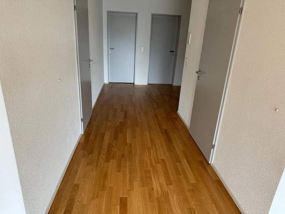 Modern apartment near Lake Constance
