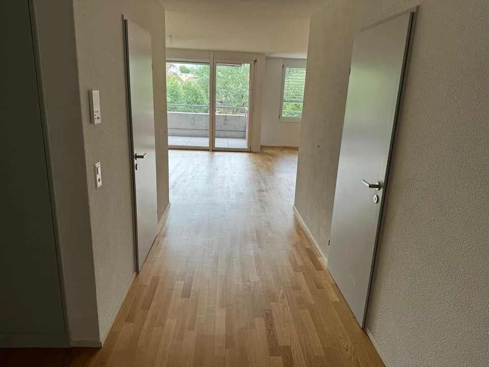 Modern apartment near Lake Constance