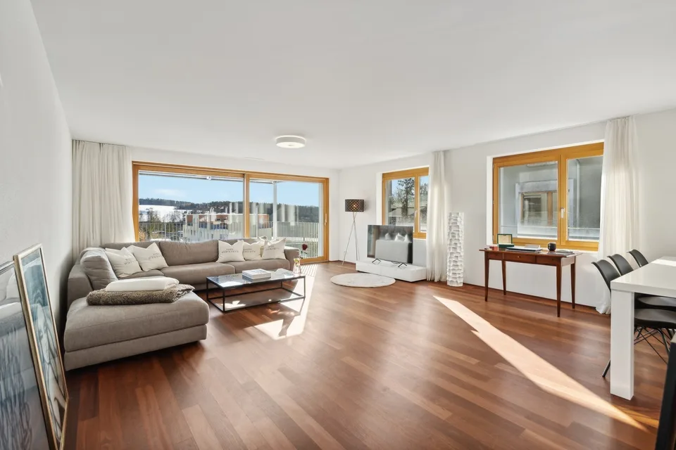 Brand new, large Minergie dream apartment!