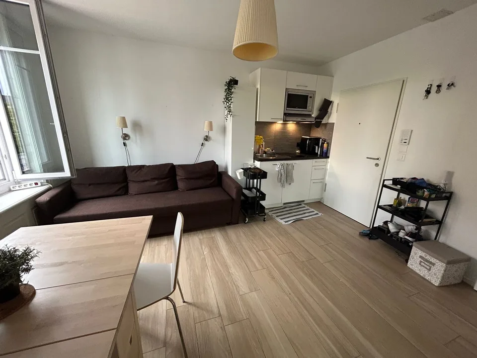 Studio Apartment Oerlikon