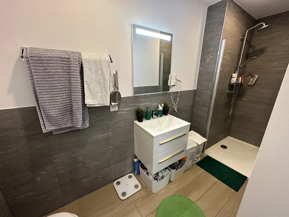 Studio Apartment Oerlikon