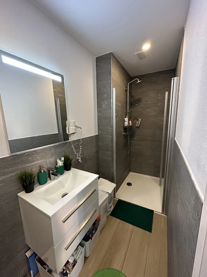 Studio Apartment Oerlikon