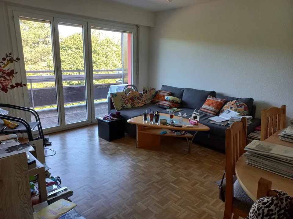 Apartment 2 ½ rooms, 1303 Penthaz