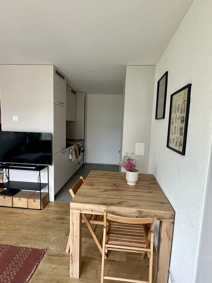 Furnished 2.5-room apartment in a quiet location in Zurich Oerlikon for subletting