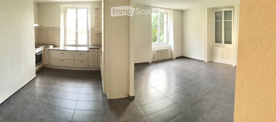 Appartement de 4.5 pcs