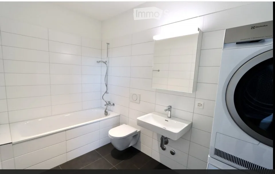 3.5-room apartment, seeking subtenant from early October