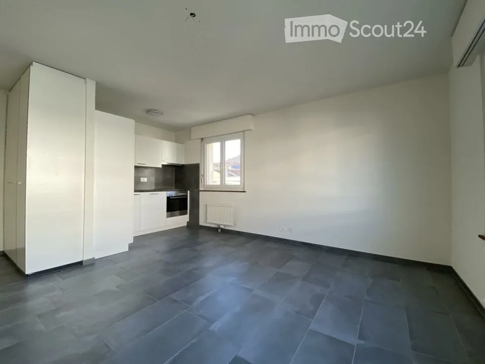 Charmante 3-Zimmer-Wohnung mit Balkon in Schaffhausen