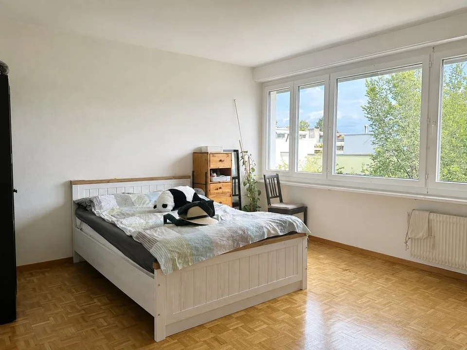 Schöne 2.5 Zimmerwohnung zu vermieten !