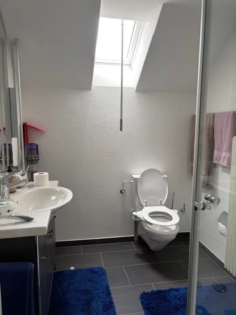 Luxuriöse 5-Zimmer-Wohnung in grüner Umgebung in Bern