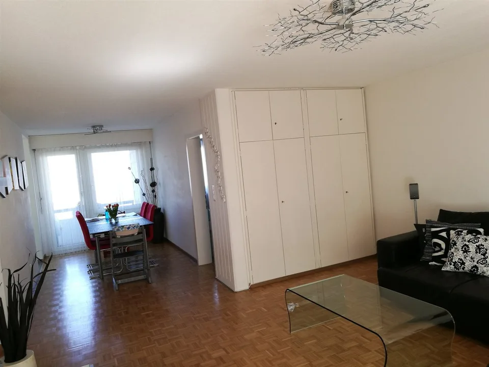 Vue de rêve sur le lac de Zurich !