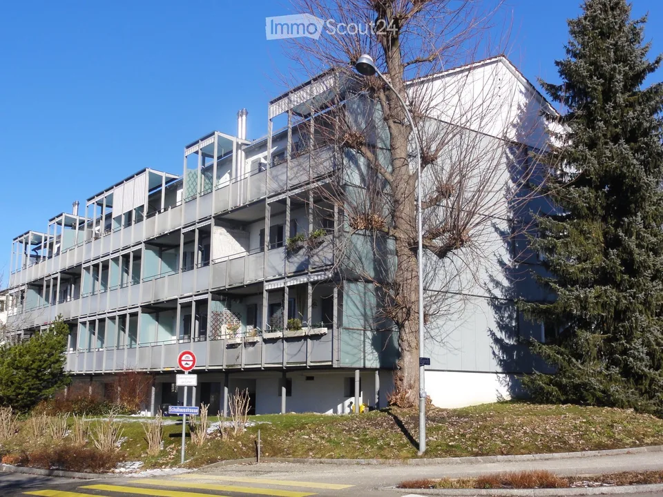 Schöne 3 1/2 Zimmer-Wohnung in Nichtraucherhaus