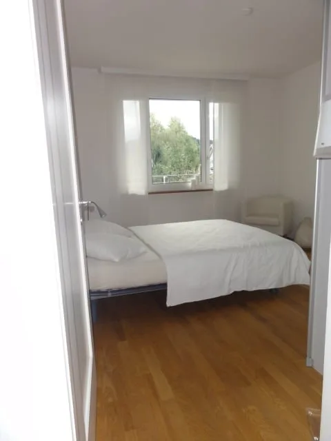 Beautiful 3 1/2 room apartment in a non-smoking house