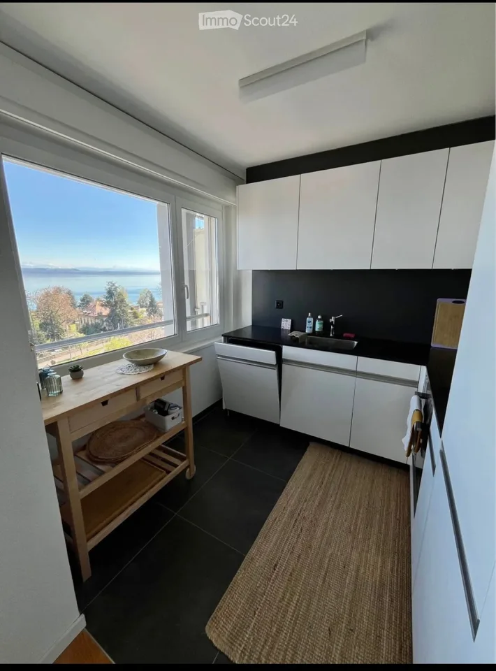 Appartement avec magnifique vue sur le lac et les Alpes