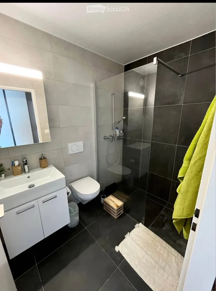 Appartement avec magnifique vue sur le lac et les Alpes