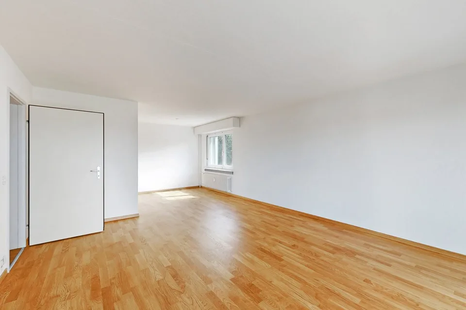Ihr neues Zuhause mit einzigartiger Aussicht in Reussbühl