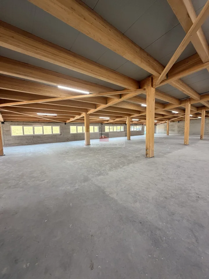 BOX / INDUSTRIAL AND COMMERCIAL PREMISES FOR RENT - VALLORBE