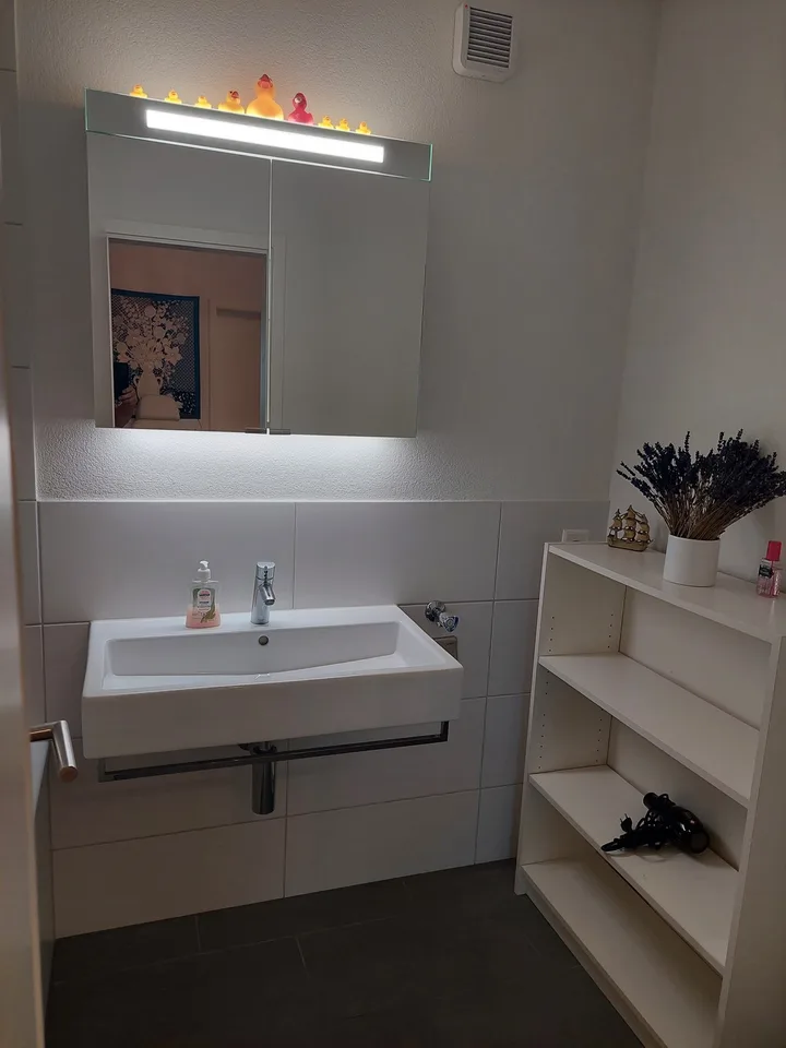 Shared room in Thalwil