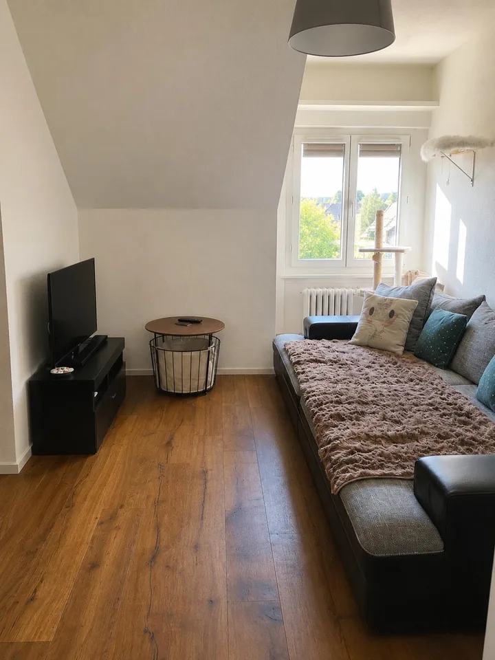 Tenant wanted