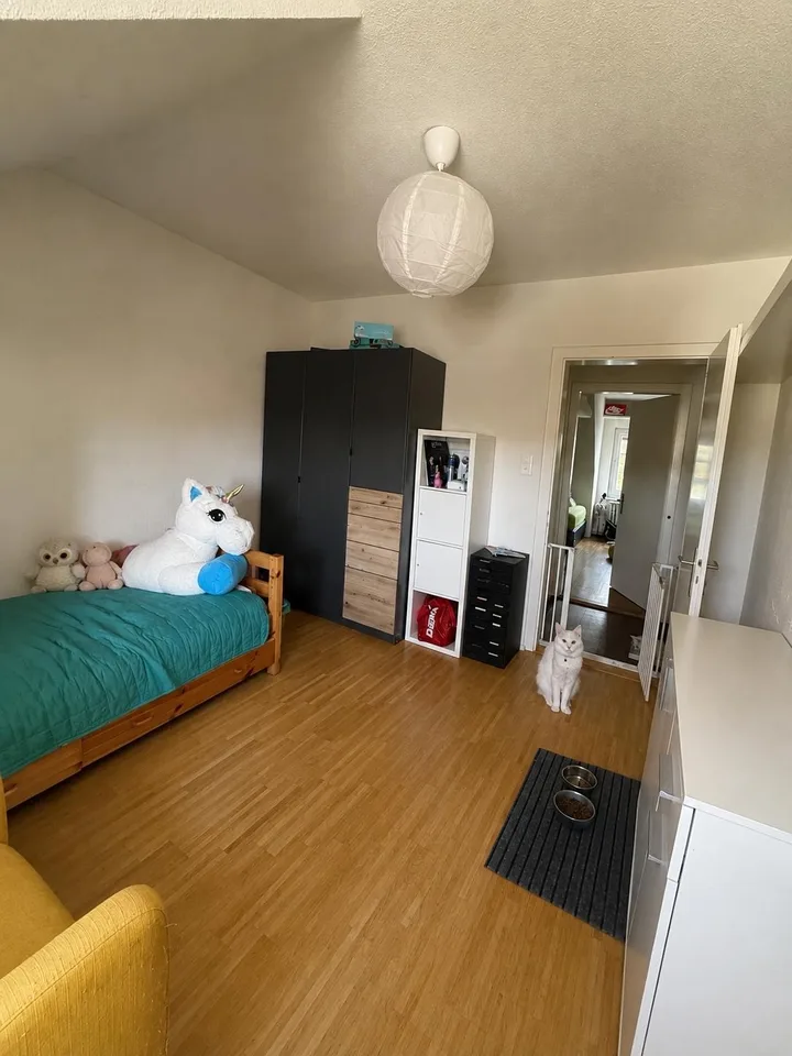 Tenant wanted