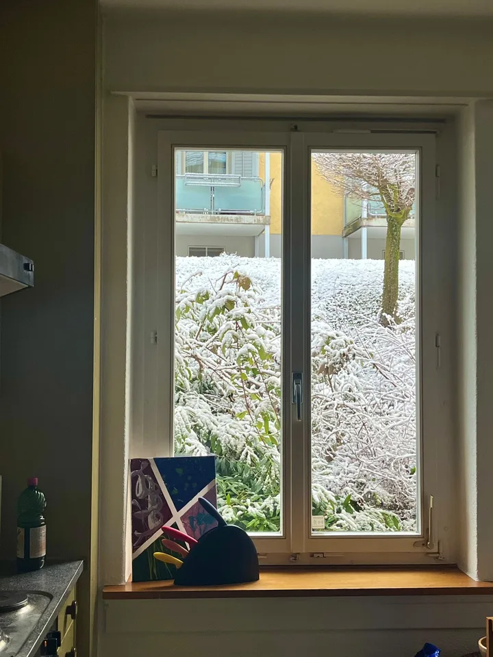 Gemütliche & sonnige 3-Zimmer-Wohnung in Wipkingen, Zürich (Sept 2026 - Sept 2027)