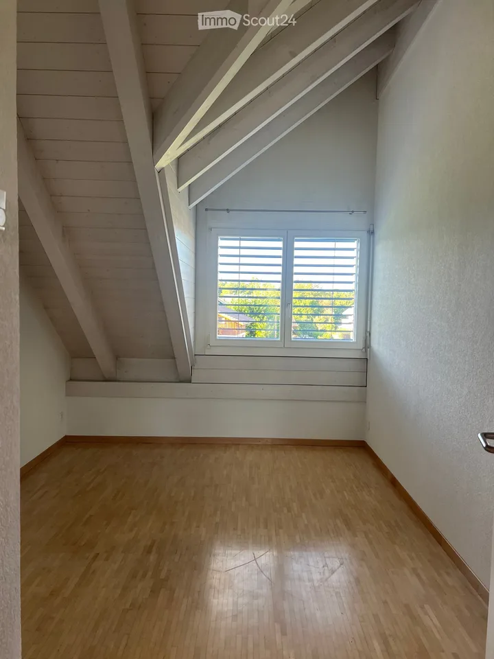 Spacious and bright attic apartment with gallery