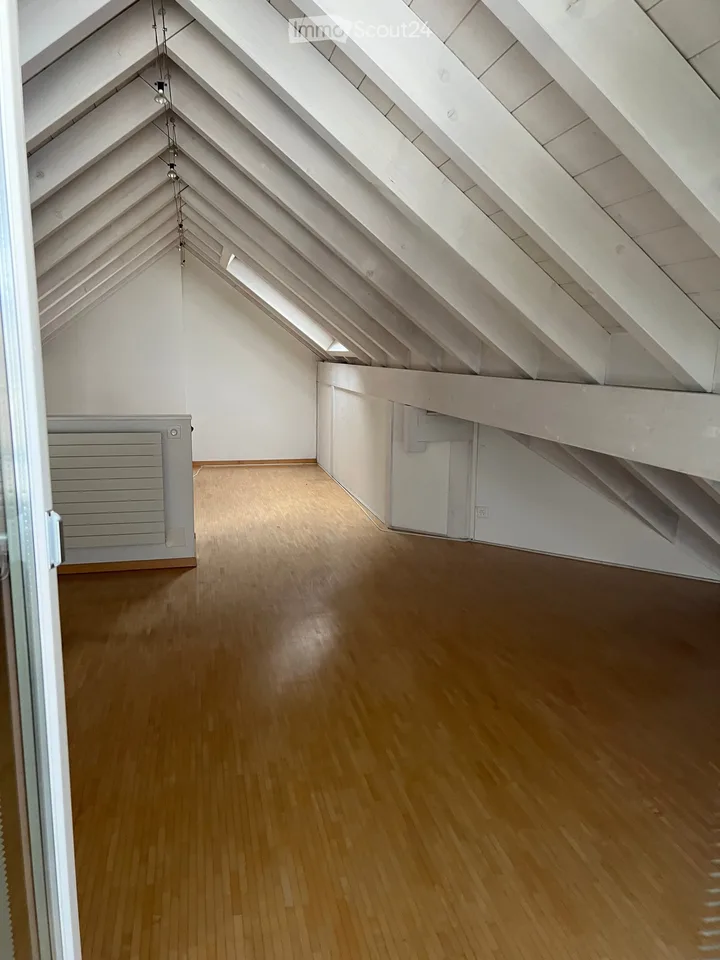Spacious and bright attic apartment with gallery