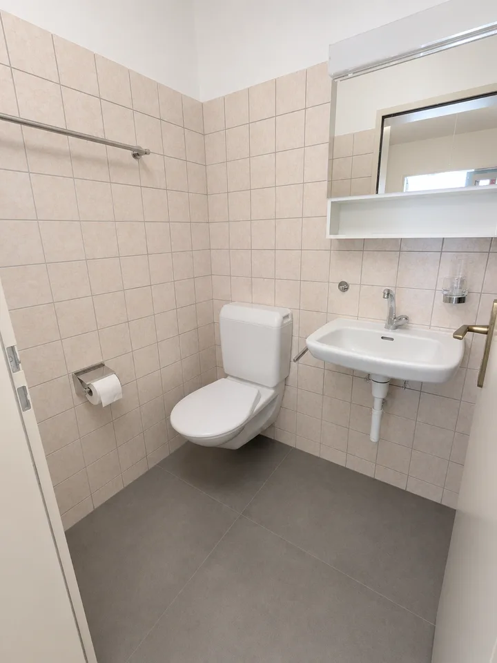 Appartement spacieux 4 pièces avec cheminée