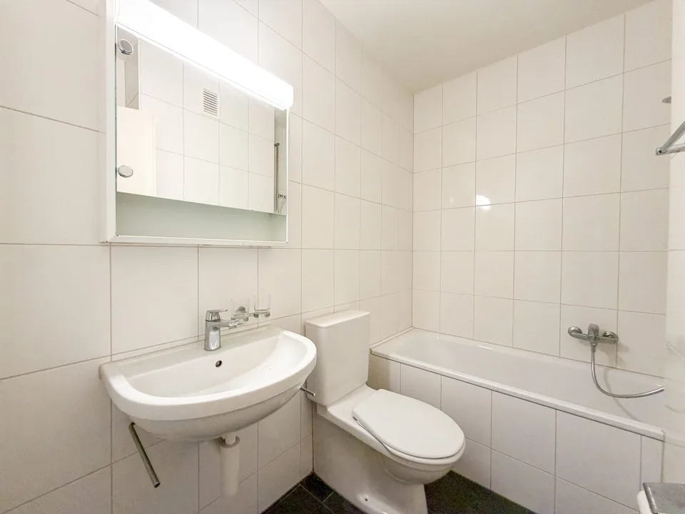 Bright 1-room apartment for rent in Basel