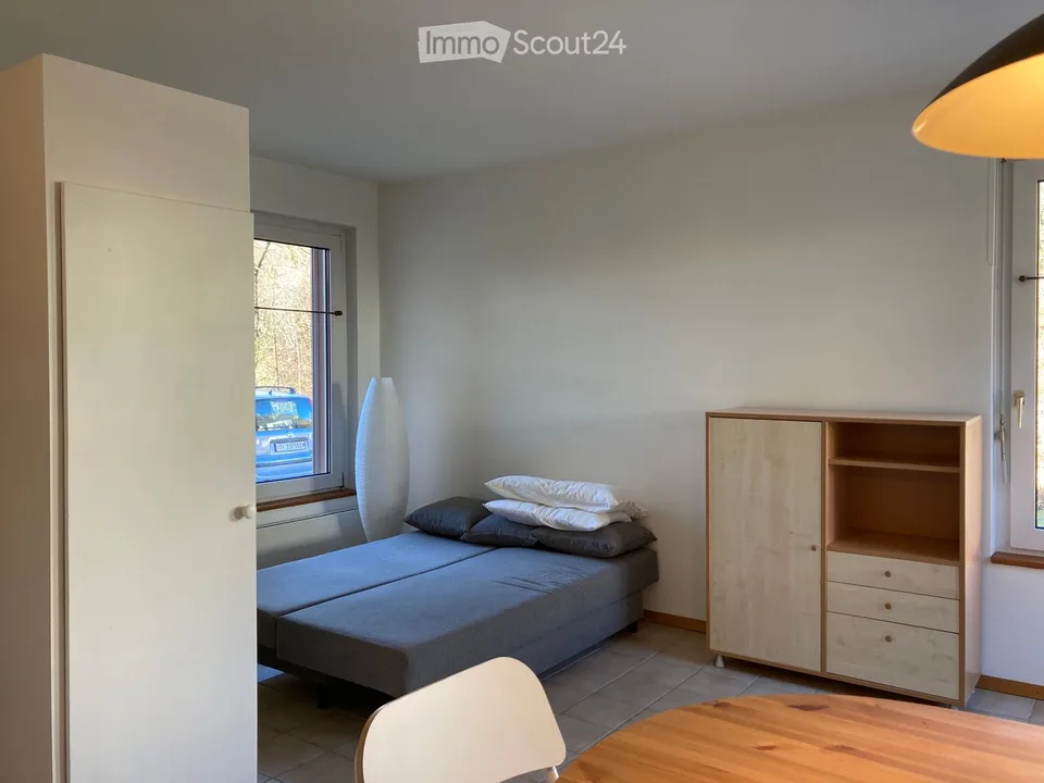 Helles Einzimmerapartment