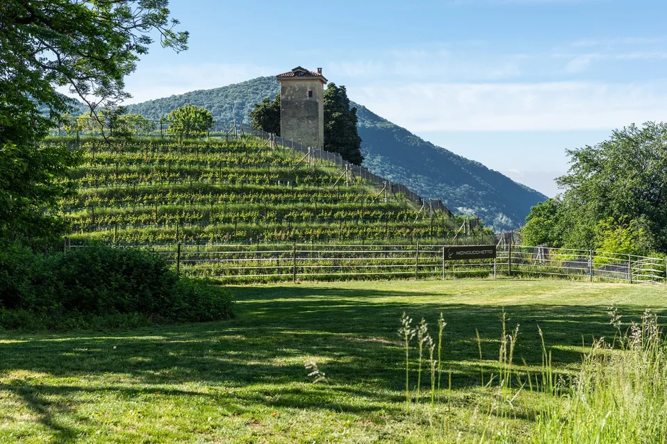 COLLINA D'ORO-AGRA - Lussuoso appartamento di 276 mq con ampia loggia e vista lago (Rif. 303)