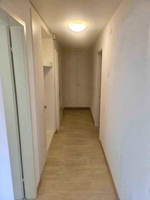 Appartement 2.5 pièces lumineux à louer