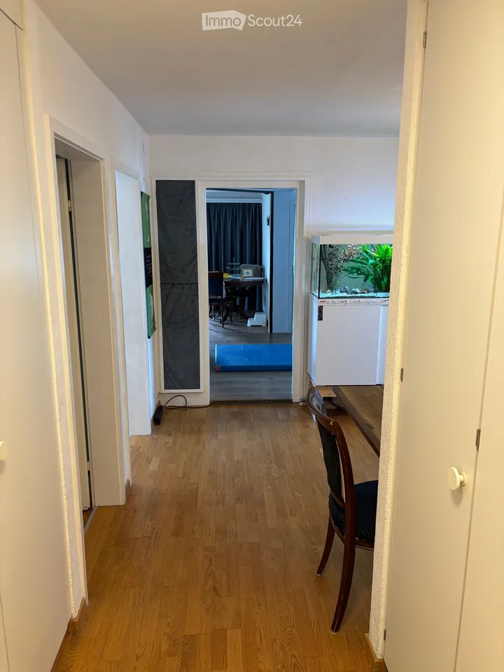 2 Zimmer für einen MANN, Adliswil