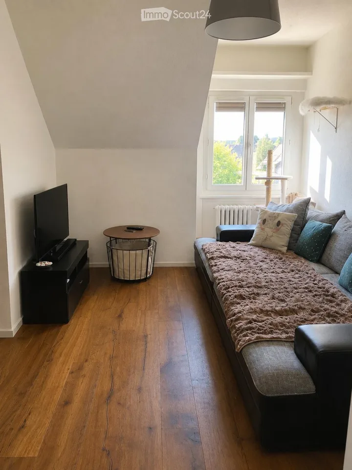 Nachmieter für 3.5 Zimmer Wohnung gesucht