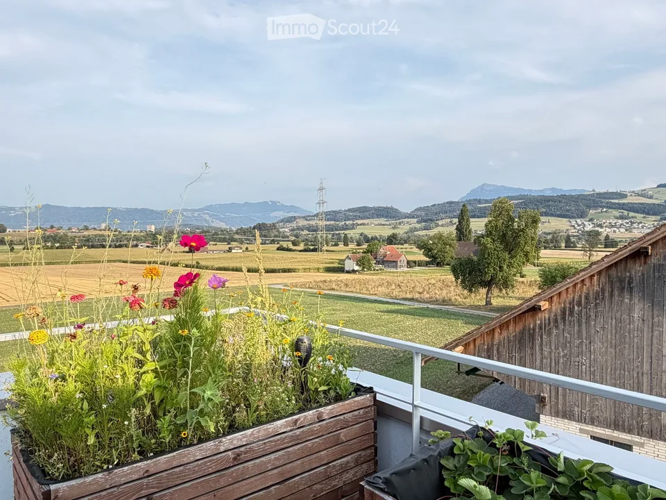 Cercasi inquilino per appartamento attico luminoso di 5,5 locali con vista imprenabile a Dietwil