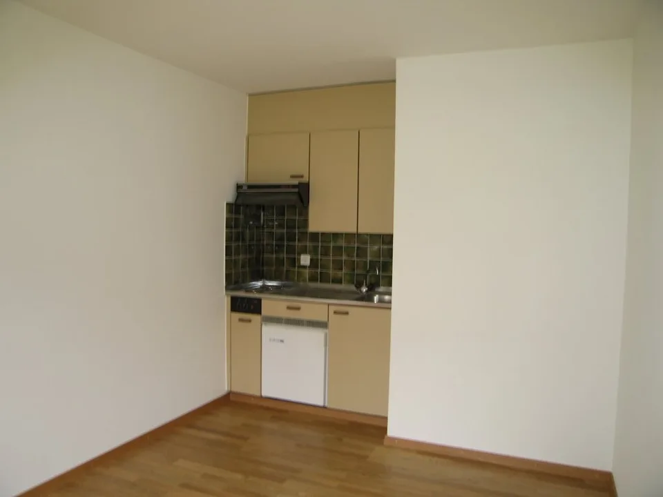 Appartement studio de 1,5 pièces à Zollikon