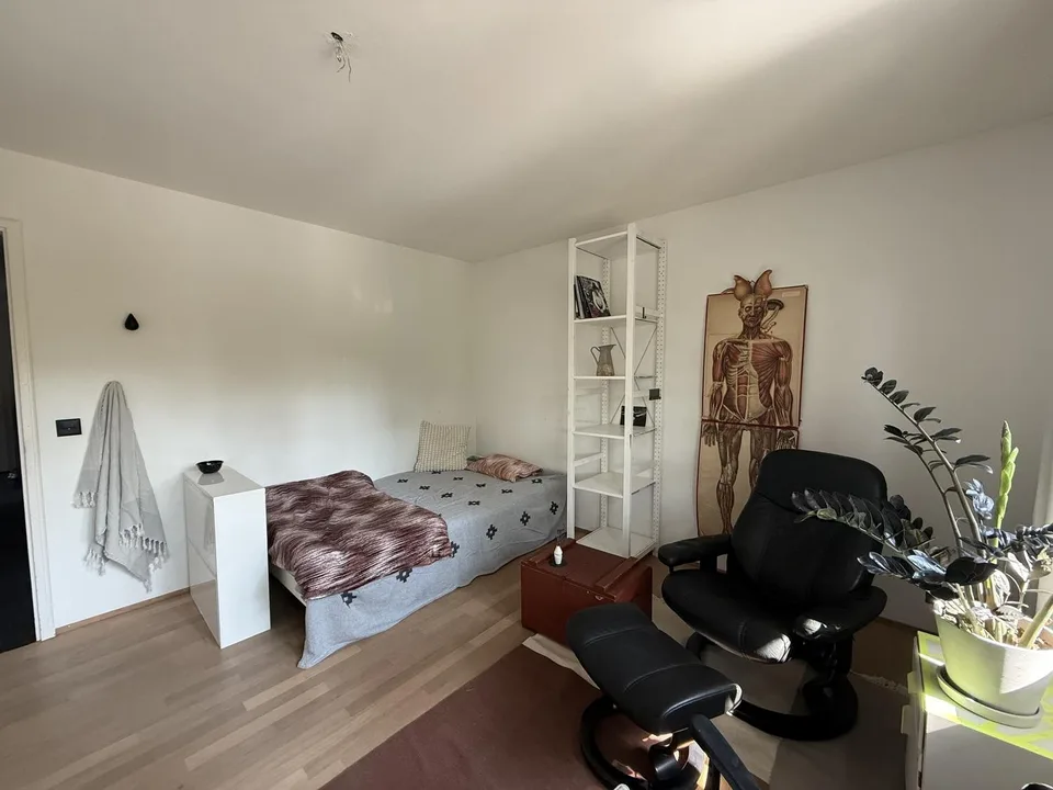 Large furnitured room in Liebefeld